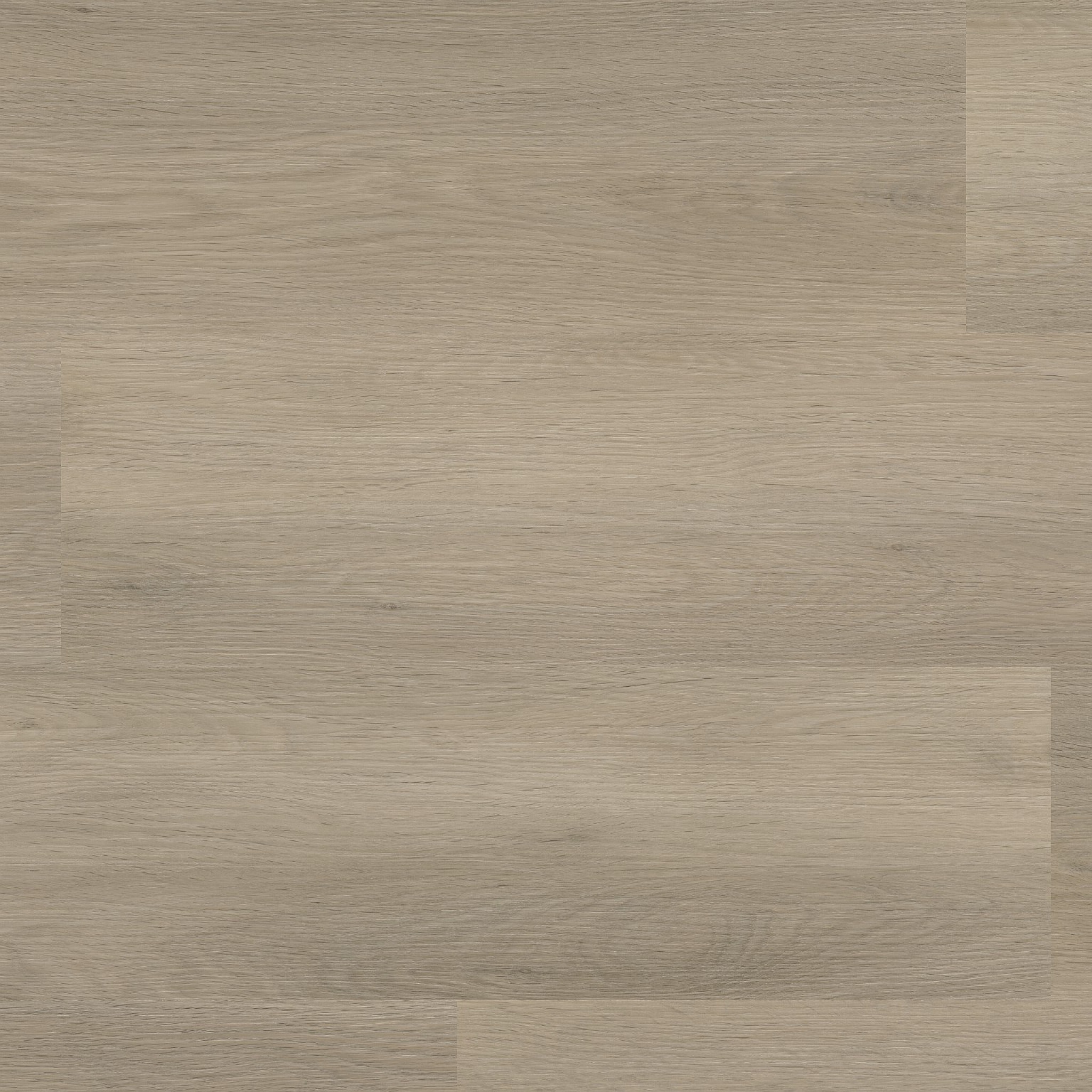 Newham dryback smoky
