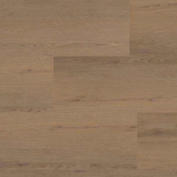 Barnet dryback dark oak