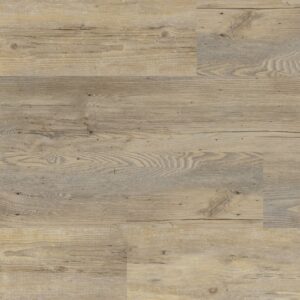 Bondi Beach dryback smoky